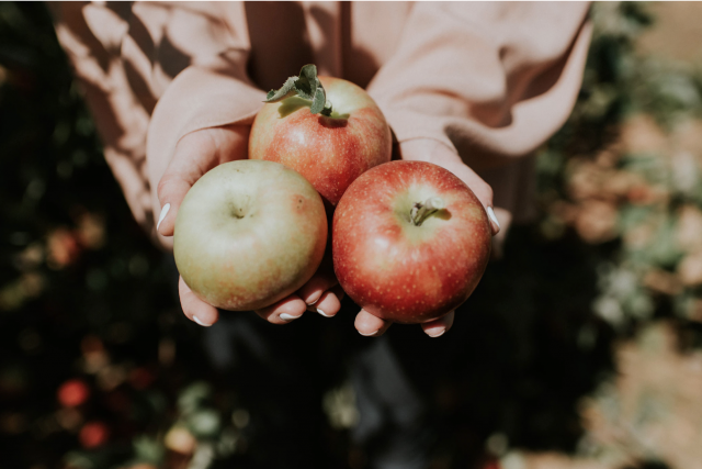 Najlepšie jesenné odrody jabĺk
